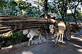 Myanmar - Inwa, ox driven cart